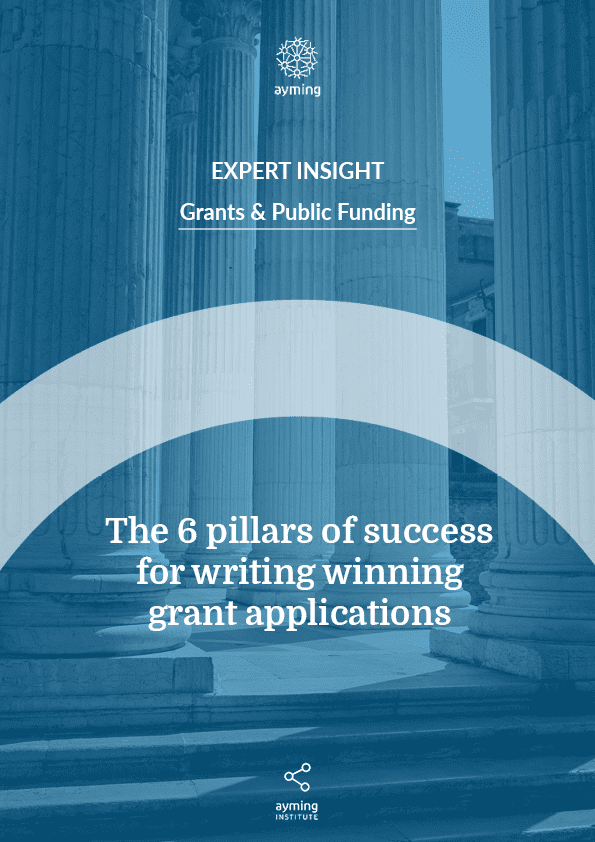 Cover image - Mastering Grant Applications: The Six Pillars of Success