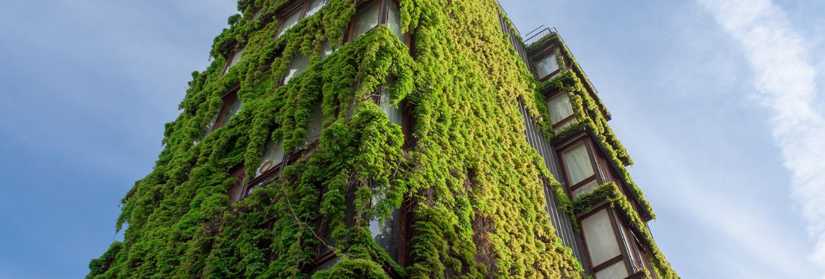 En-tête témoignage KNAUF