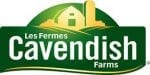 CAVENDISH