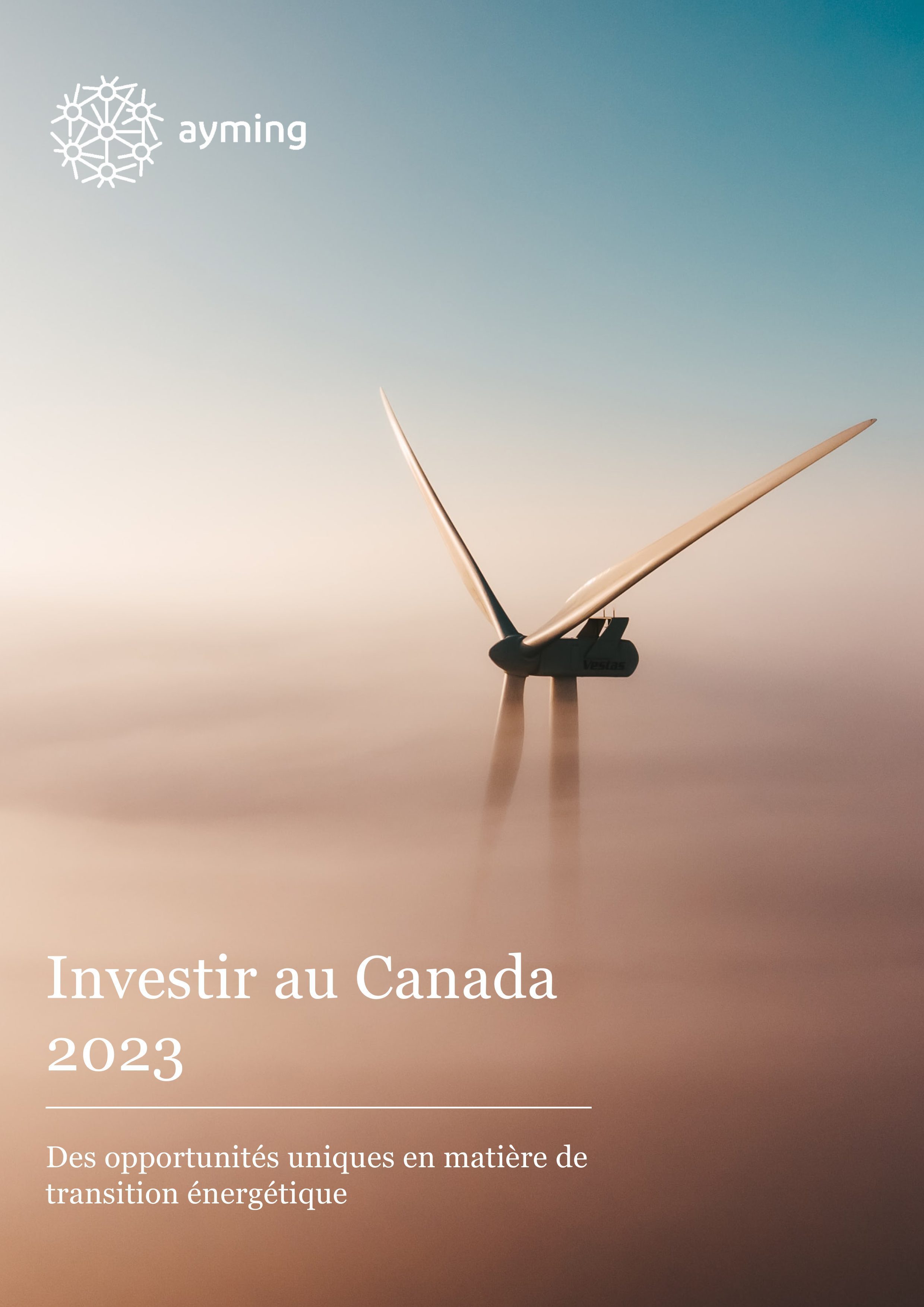 Cover image - Investir au Canada