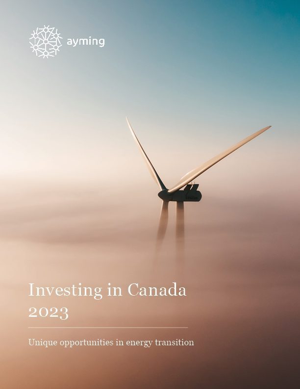 Cover image - Investing in Canada 