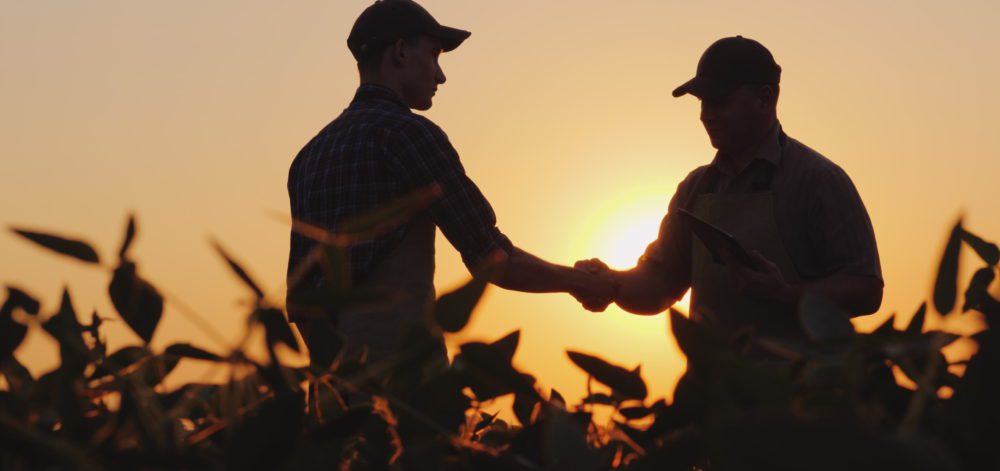Two farmers talk on the field, then shake hands. Use a tablet. 4k video
