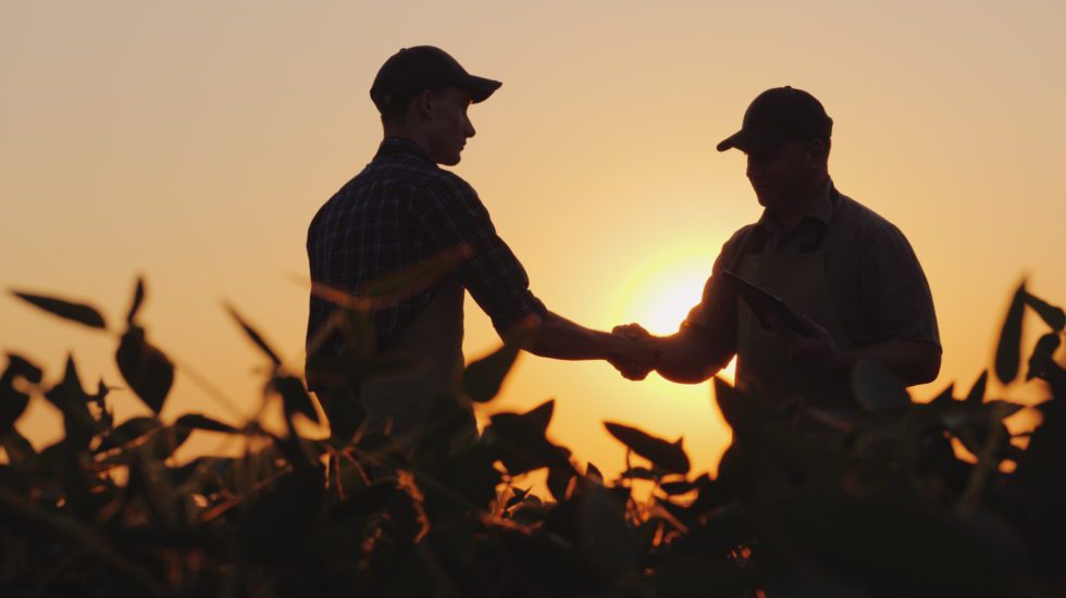 AgriInnovate Program