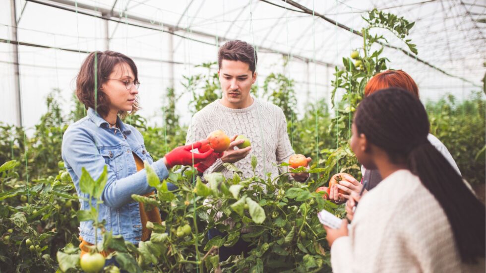 conscientious consumerism and food choices greenhouse garden