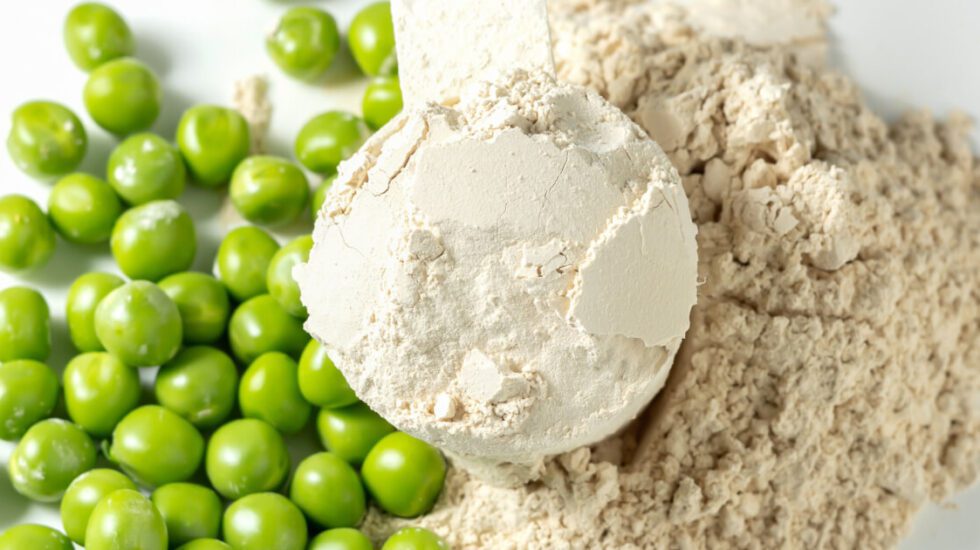 plant based pea protein manufacturing sred tax credits