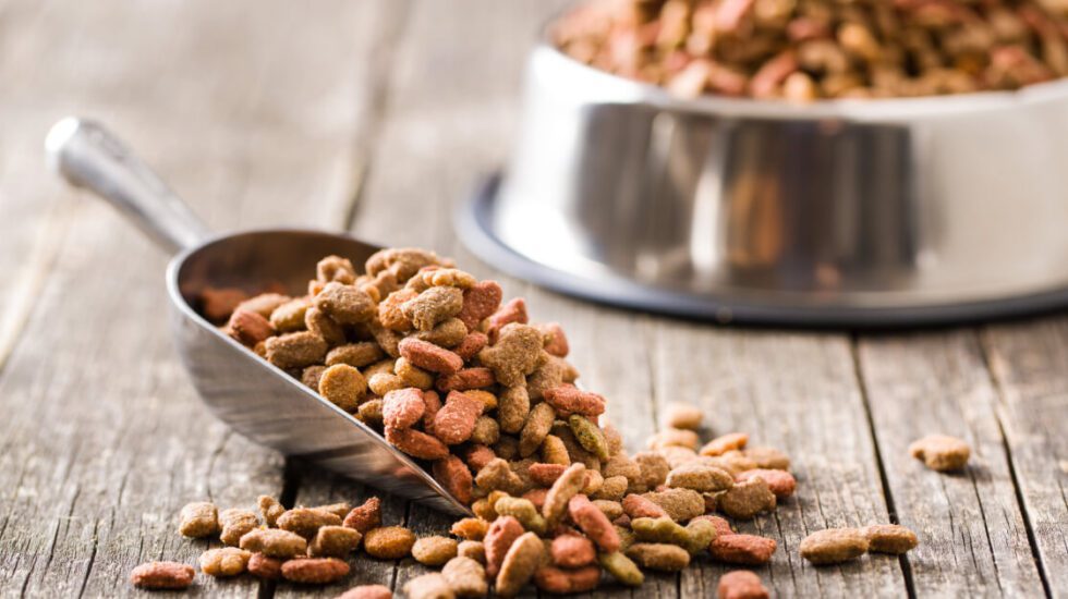 dry pet food manufacturing sred tax credits