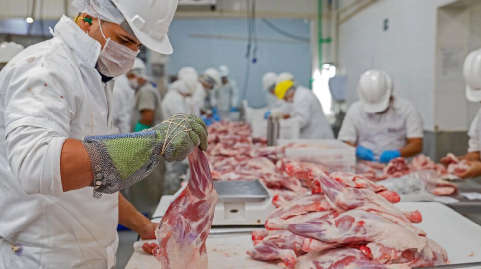 Meat Processing government grant