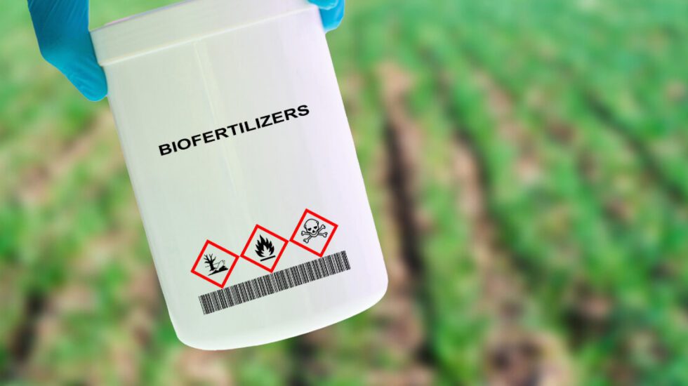 Biofertilizer Innovation SR&ED tax credits