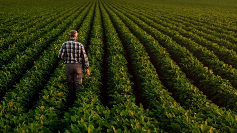 Quebec Ministerial Initiative for Plant Productivity Grants