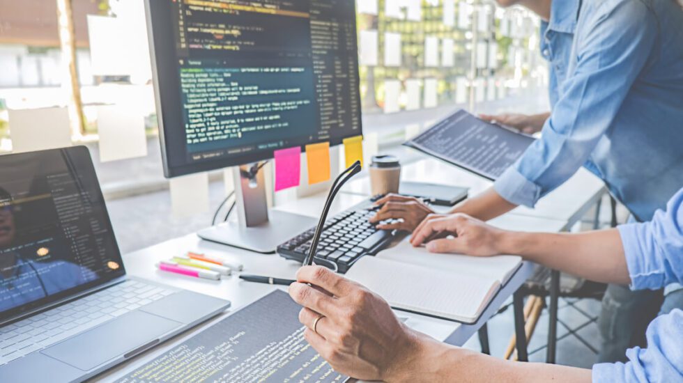 Software Developer programming - government grants