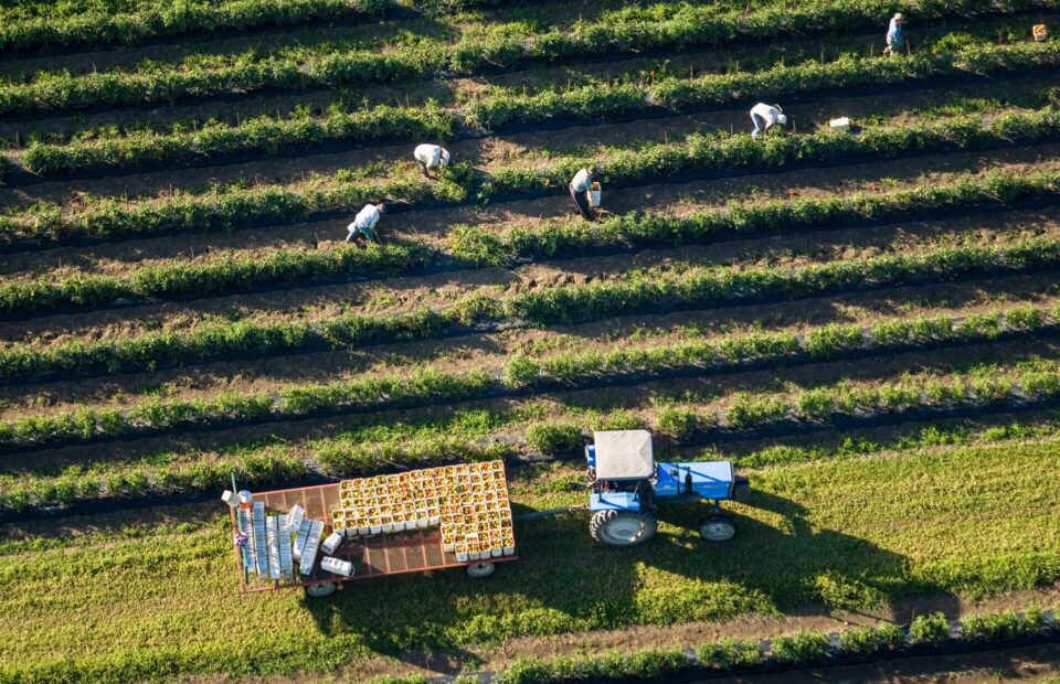 Programme transformation alimentaire