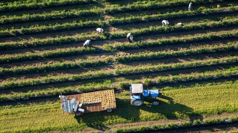 Programme transformation alimentaire