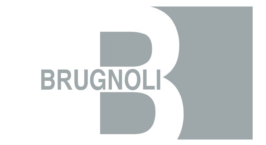 Alessandro Avignolo, GM di Brugnoli per Ayming