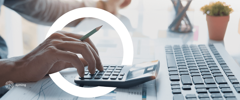 Transfer pricing adjustment