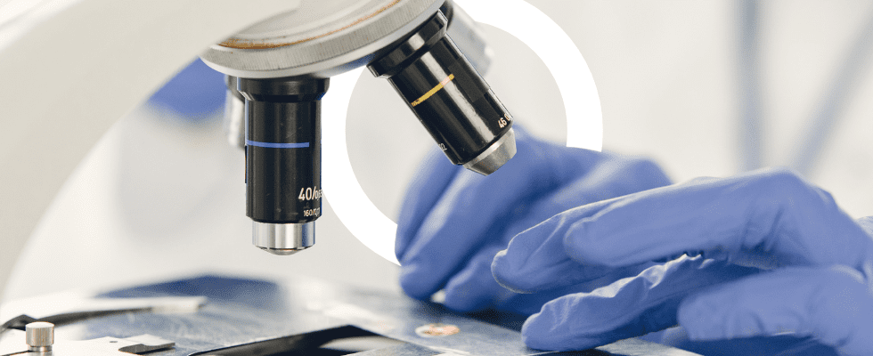 Innovazione ricerca e sviluppo