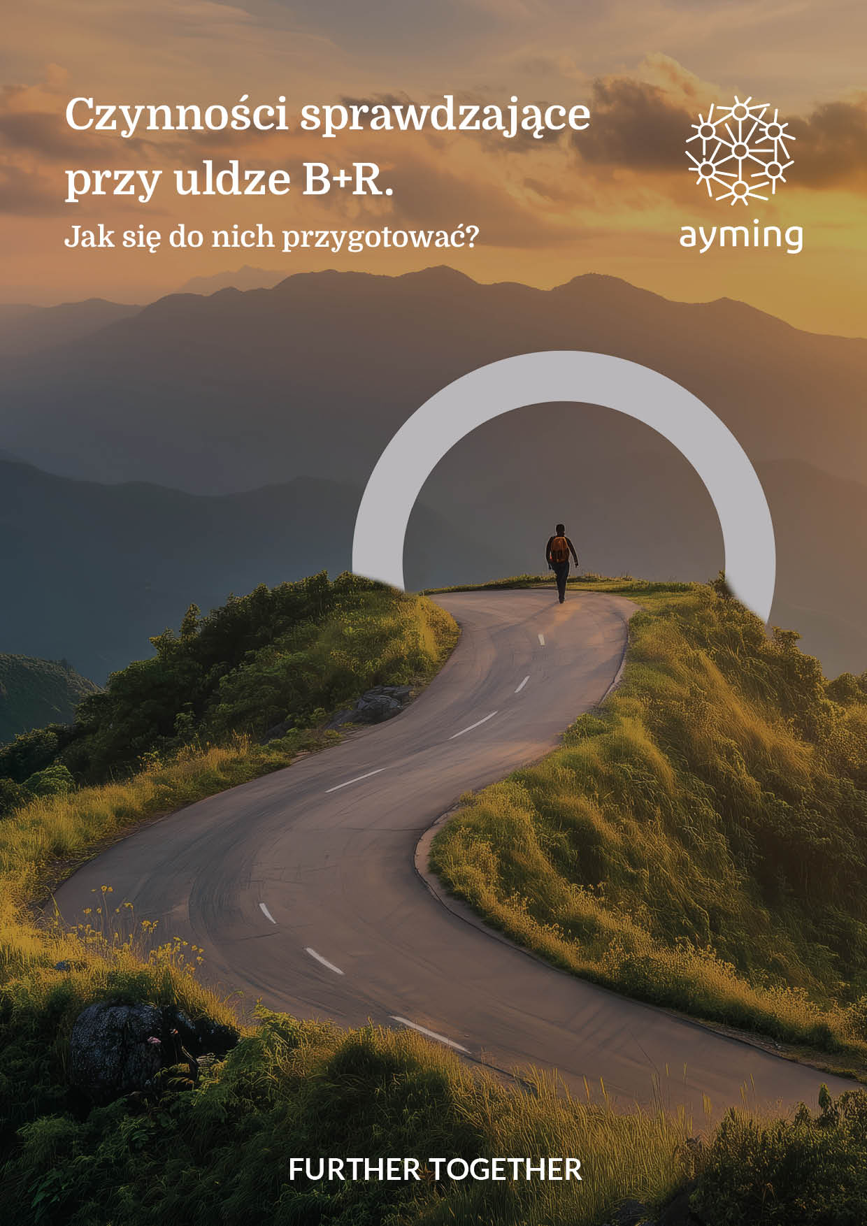 Cover image - Czynności sprawdzające przy uldze B+R