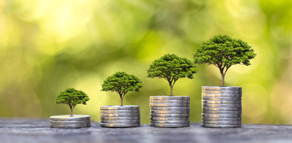 Investimentos em Setores Estratégicos