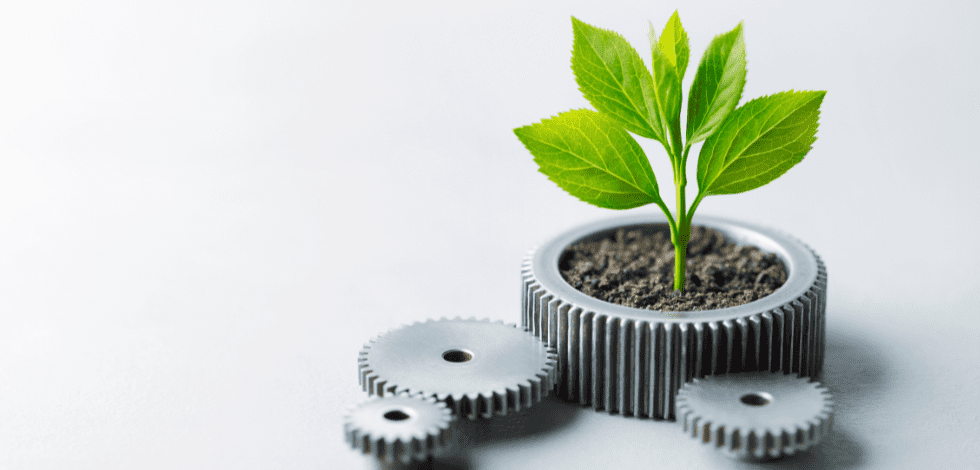 Ecodesign Apoio à Conceção Ecológica de Produtos no SIFIDE