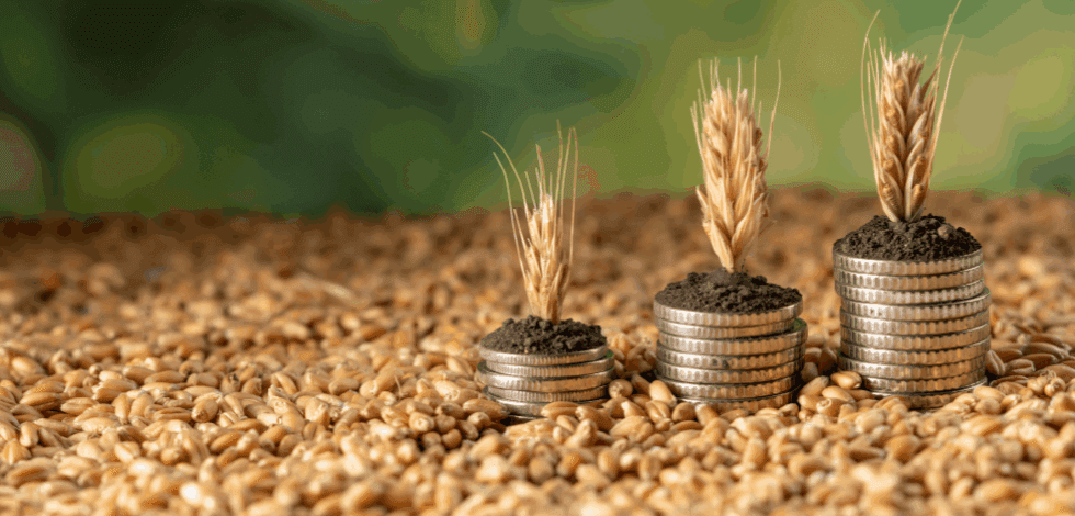 PEPAC 2025 Investimentos na Exploração Agricola