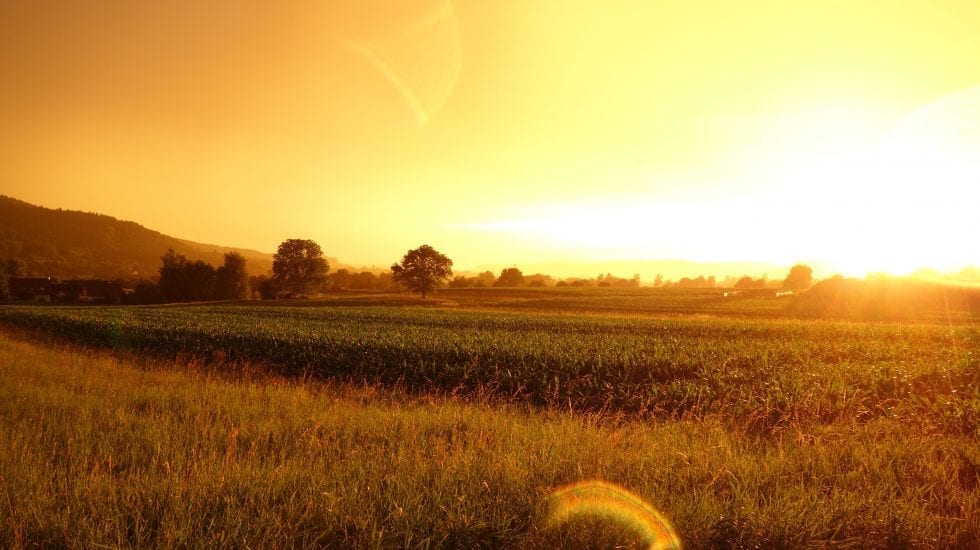Paisaje de un campo al atardecer. Subvención transformación digital en Castilla la mancha