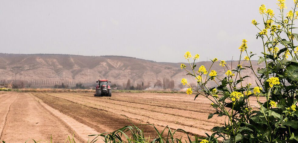 pepac-2023-2027-andalucia-cooperacion-grupos-innovacion-productividad-sostenibilidad-agricola