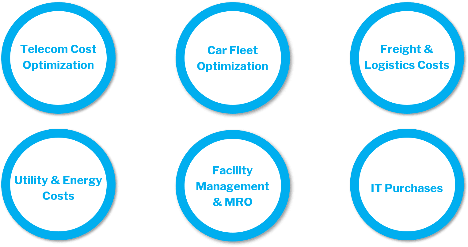 Different categories underneath the Indirect Purchasing umbrella that we achieve success in with our clients: Telecom Cost Optimization, Car Fleet Optimization, Freight & Logistics Costs, Utility & Energy Costs, Facility Management & MRO, and IT Purchases.