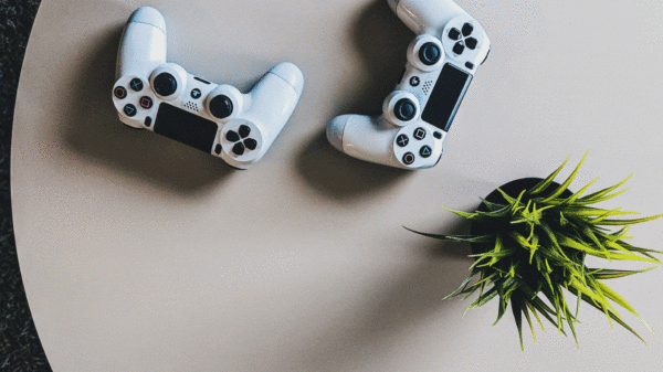 Playstation controllers sitting on a table near a plant