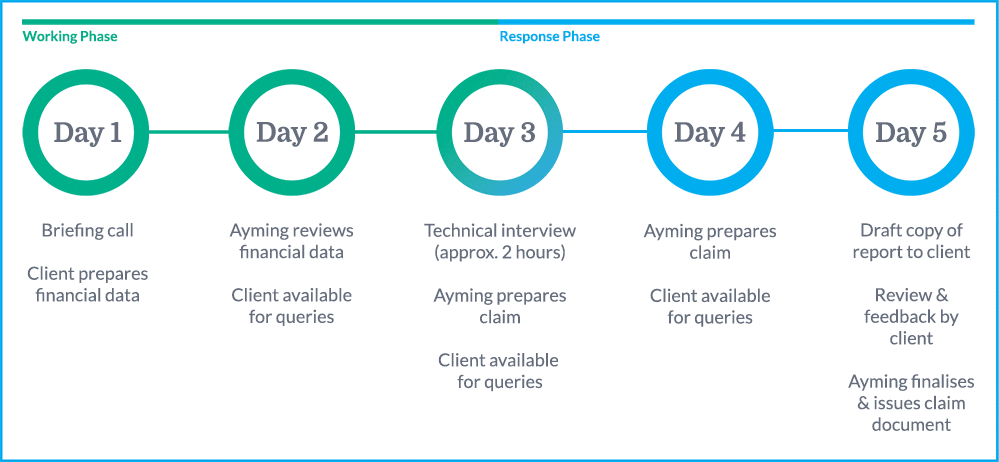 Sprint Claims - Process Infographic